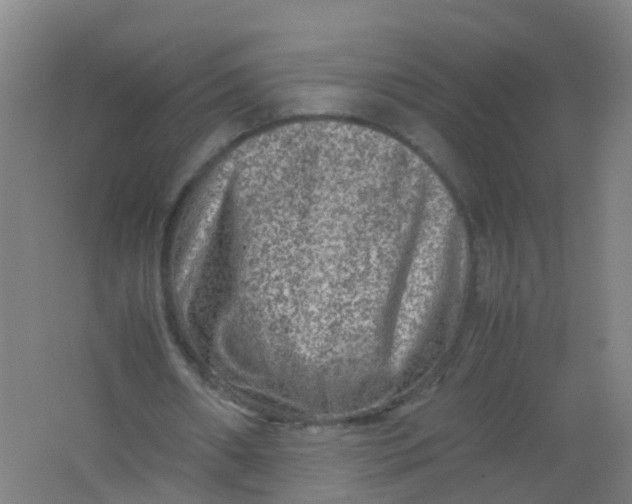 X0000062130482200512231442