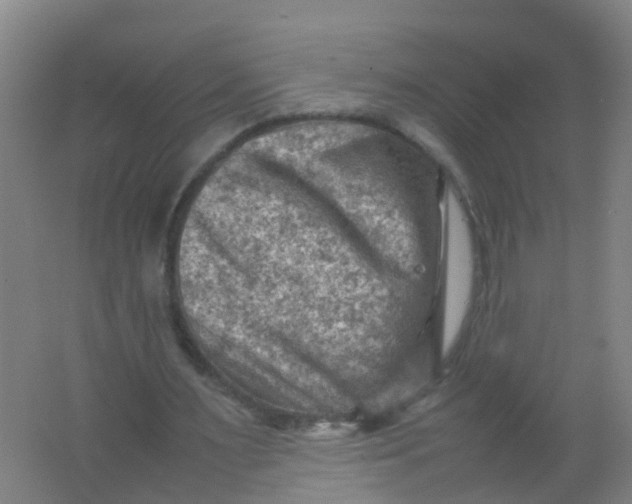 X0000062130483200512231442