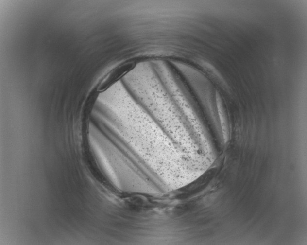 X0000062130484200512231442