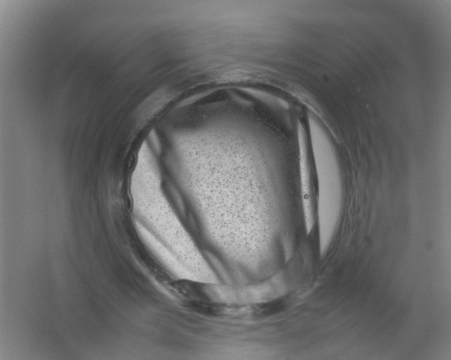 X0000062130485200512231442