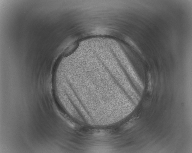 X0000062130486200512231442