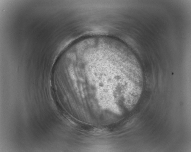 X0000062130487200512231442