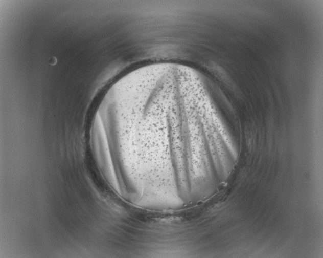 X0000062130488200512231442