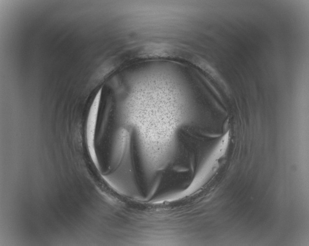 X0000062130489200512231442