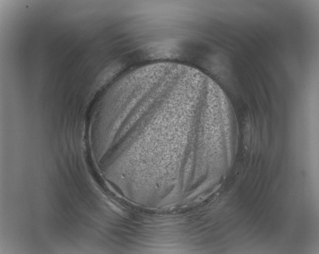 X0000062130490200512231442