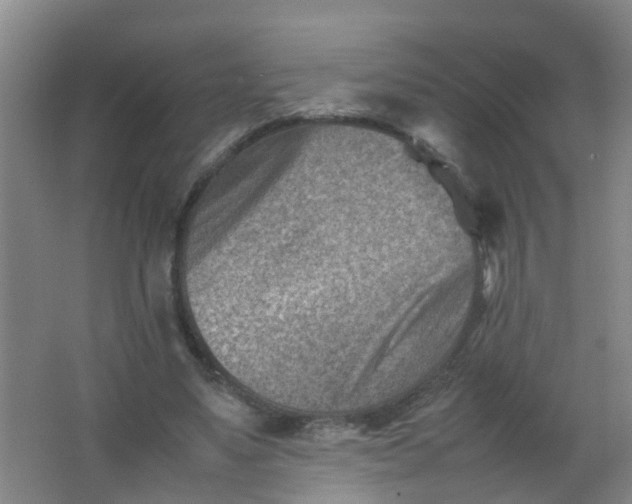 X0000062130491200512231442