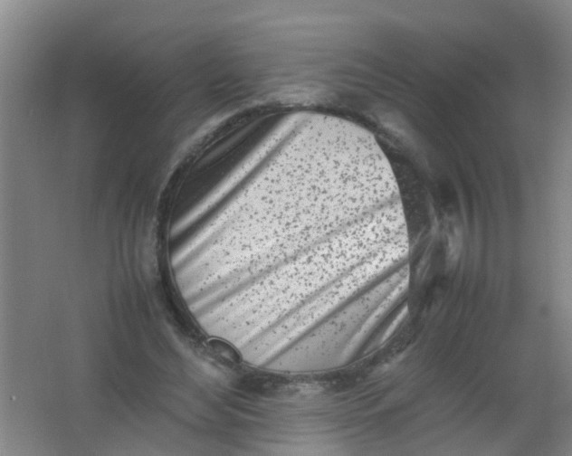 X0000062130492200512231442