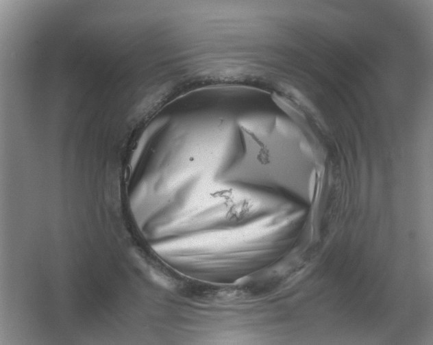 X0000062130493200512231442