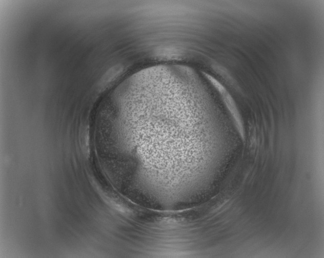 X0000062130494200512231442