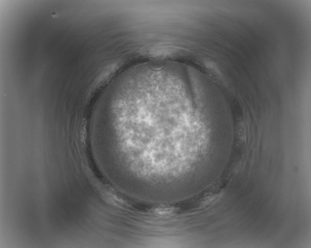 X0000062130495200512231442