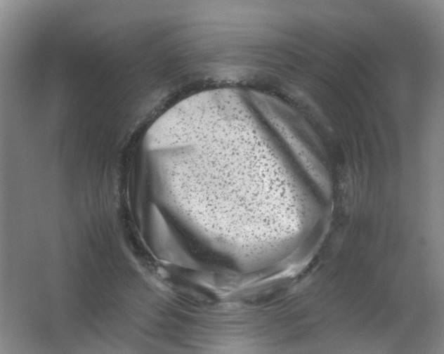 X0000062130496200512231442