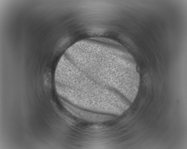 X0000062130498200512231442