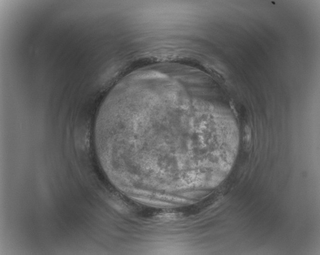 X0000062130499200512231442