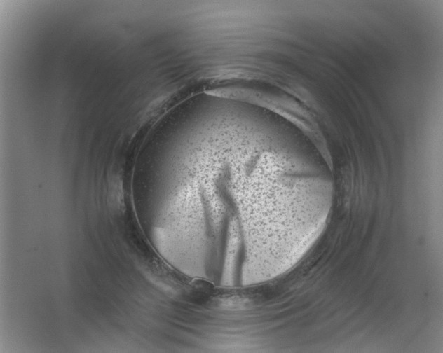 X0000062130500200512231442