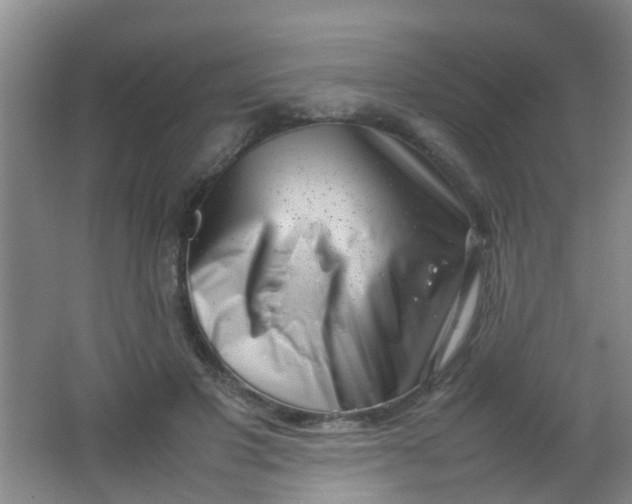 X0000062130501200512231442