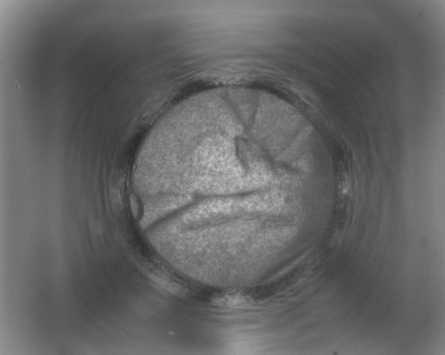 X0000062130503200512231442