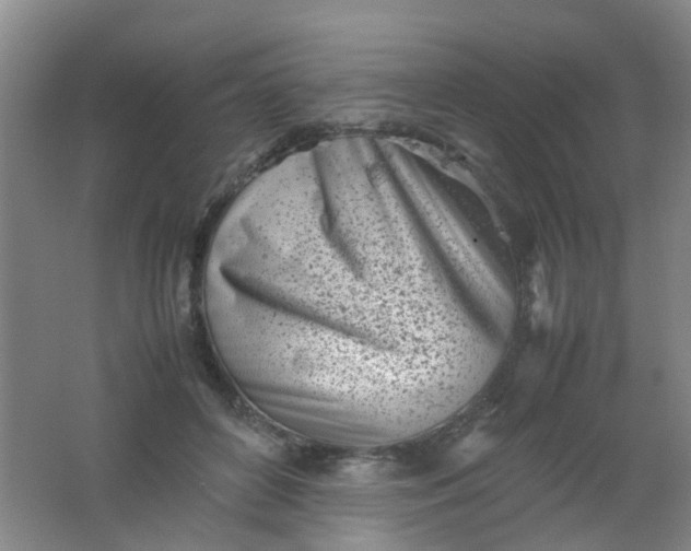 X0000062130504200512231442