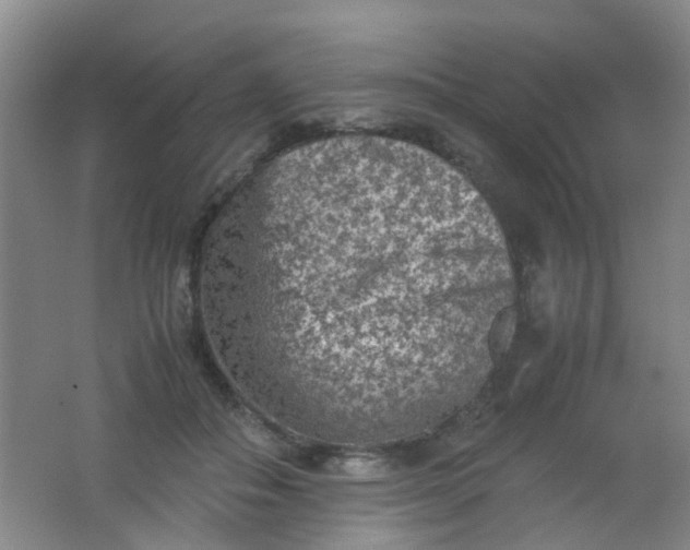 X0000062130506200512231442