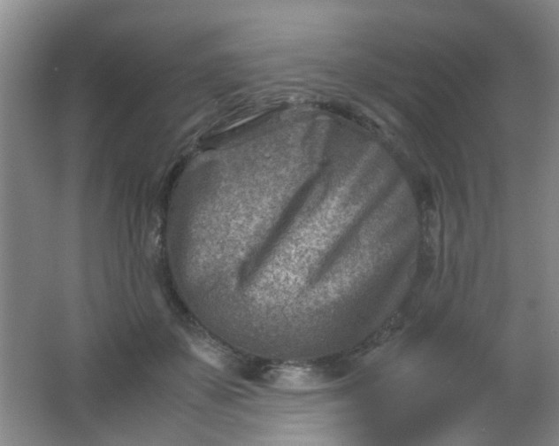 X0000062130507200512231442