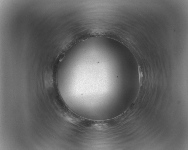 X0000062130508200512231442