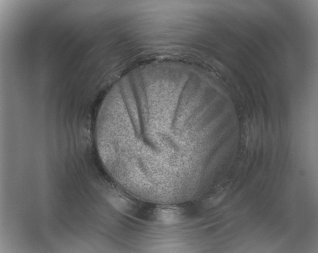 X0000062130510200512231442