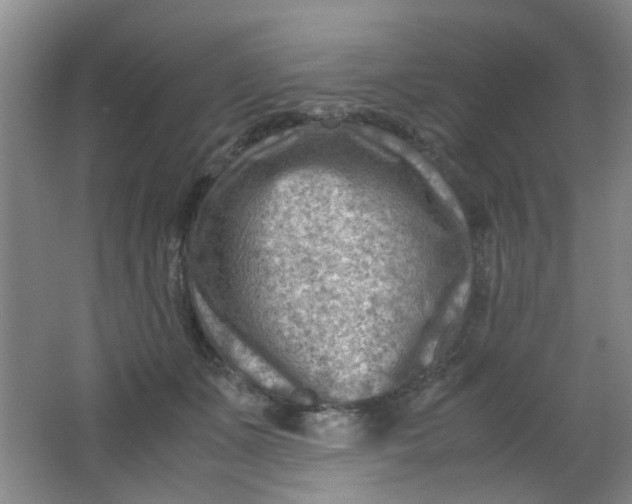 X0000062130511200512231442