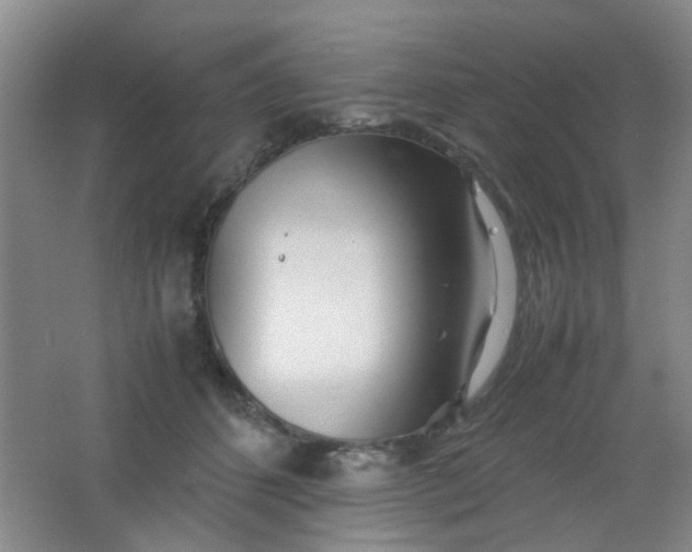 X0000062130512200512231442