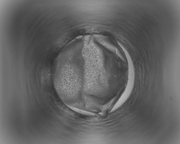 X0000062130513200512231442