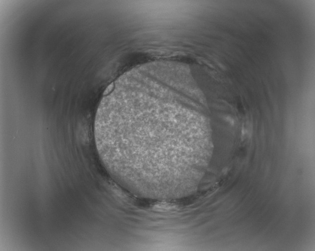 X0000062130515200512231441