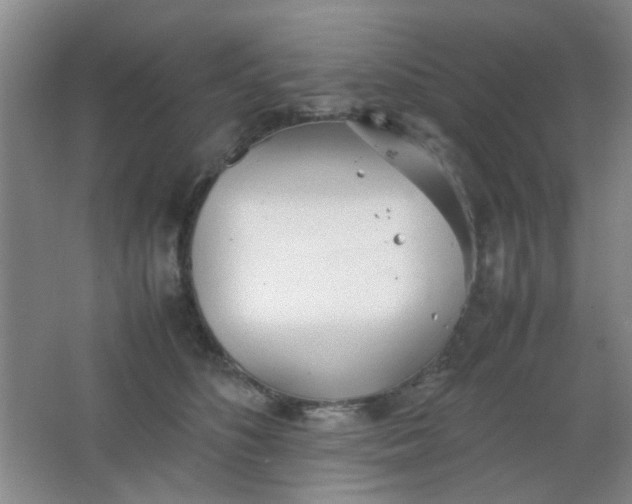 X0000062130516200512231441