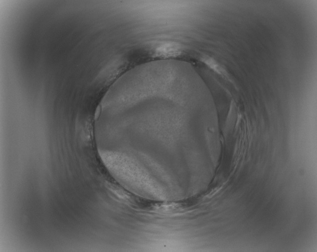 X0000062130517200512231441