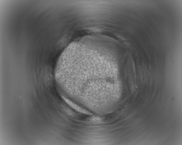 X0000062130518200512231441