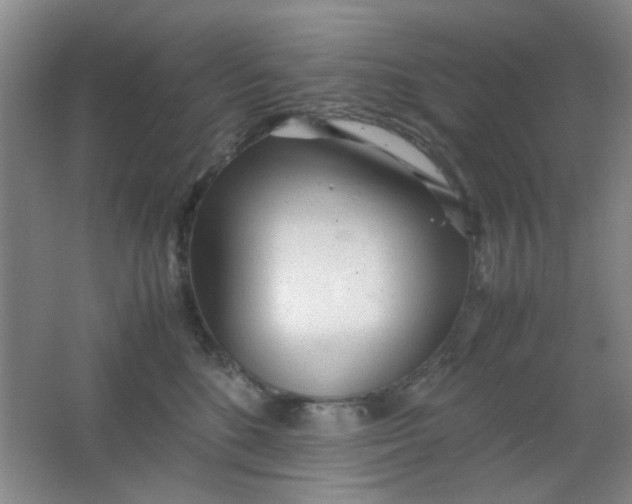 X0000062130520200512231441