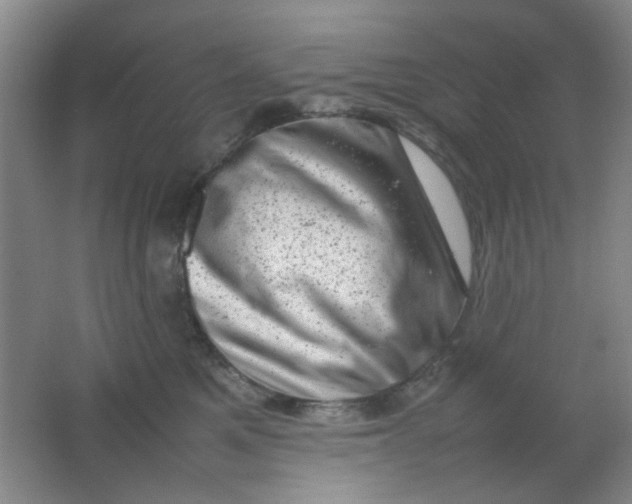 X0000062130521200512231441