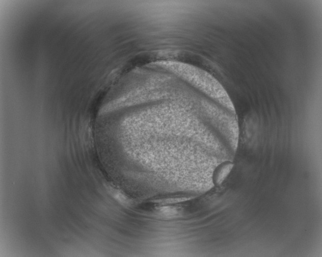 X0000062130522200512231441