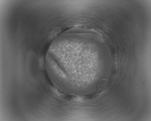 X0000062130523200512231441