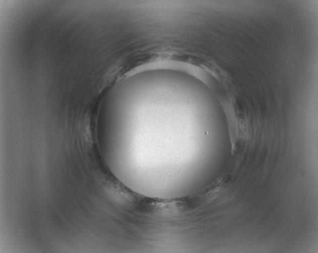 X0000062130524200512231441