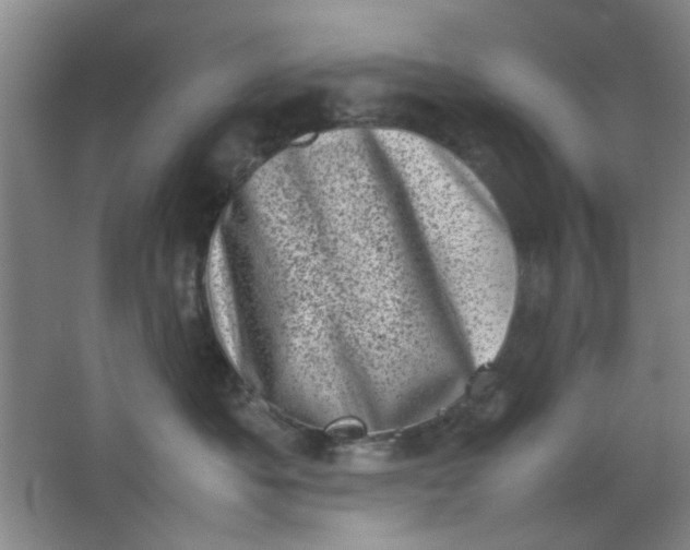 X0000062130525200512231441