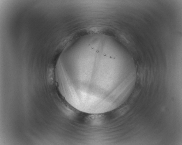 X0000062130526200512231441