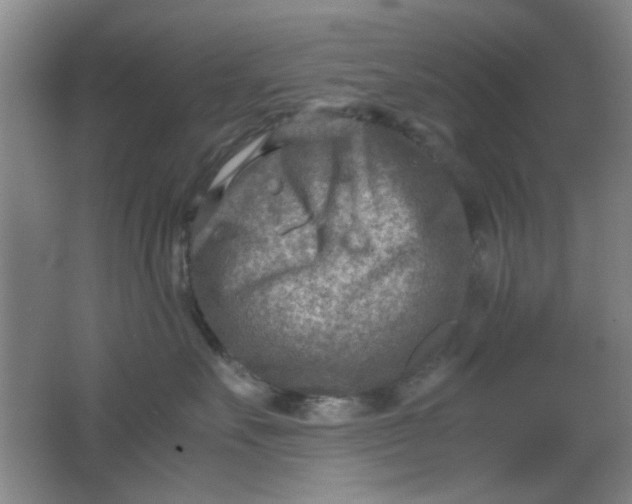 X0000062130527200512231441