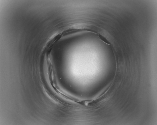 X0000062130530200512231440