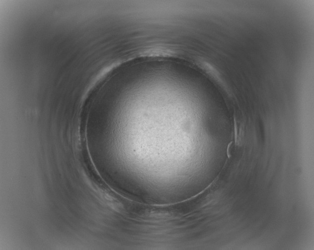 X0000062130531200512231440