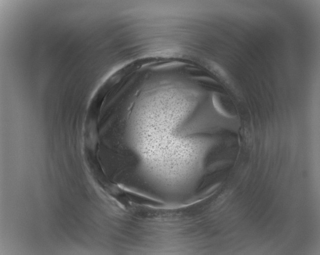 X0000062130532200512231440