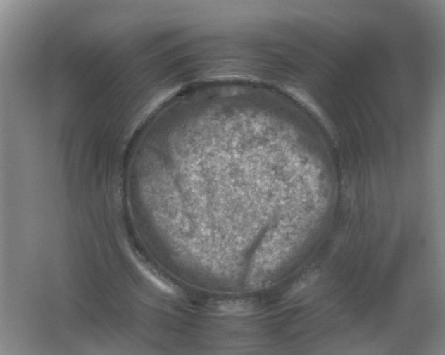 X0000062130533200512231440