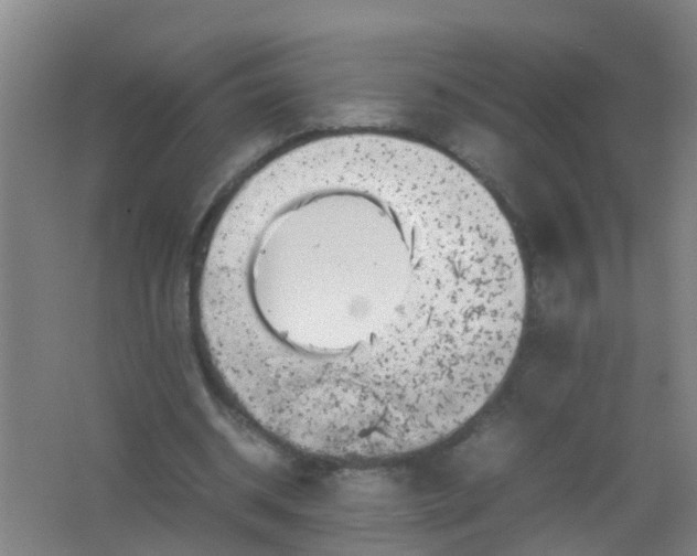 X0000062130534200512231441