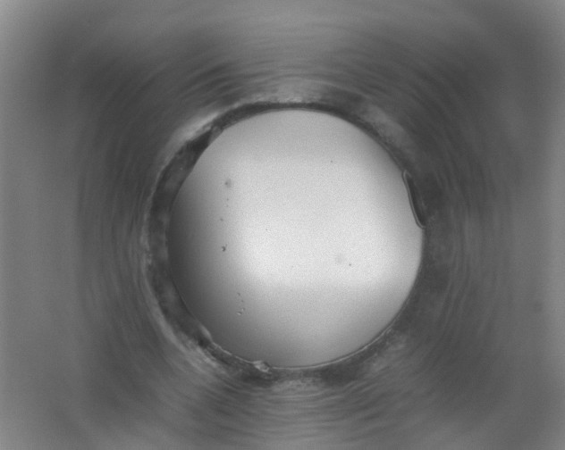 X0000062130536200512231441