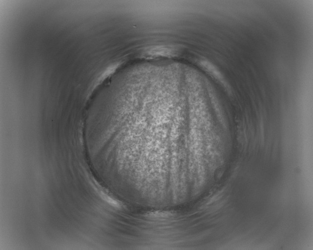 X0000062130537200512231441