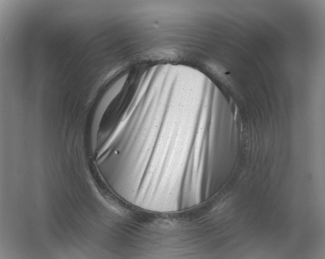 X0000062130538200512231441