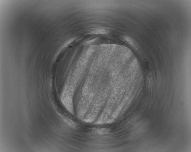 X0000062130539200512231441