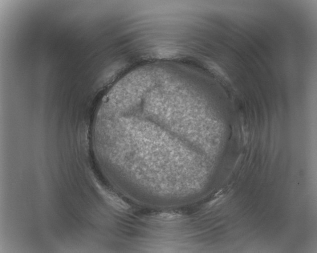 X0000062130542200512231441